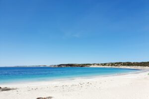 dolphin beach dolphin beach